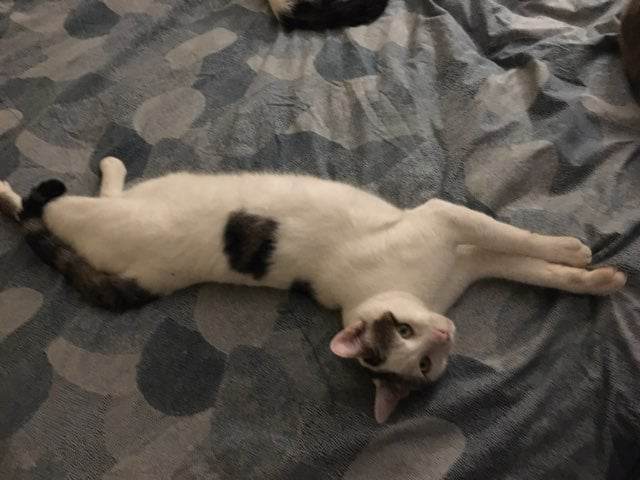 426323695_1596348247816999_46272307263679558_n