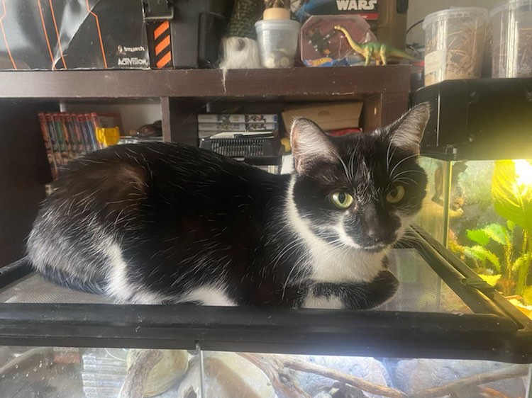 426384499_2082322228792297_5341207013271661221_n