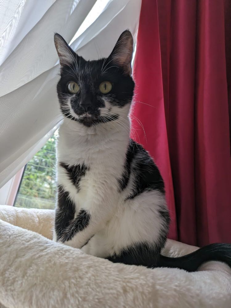 426539161_2887940241368443_347357493378727288_n