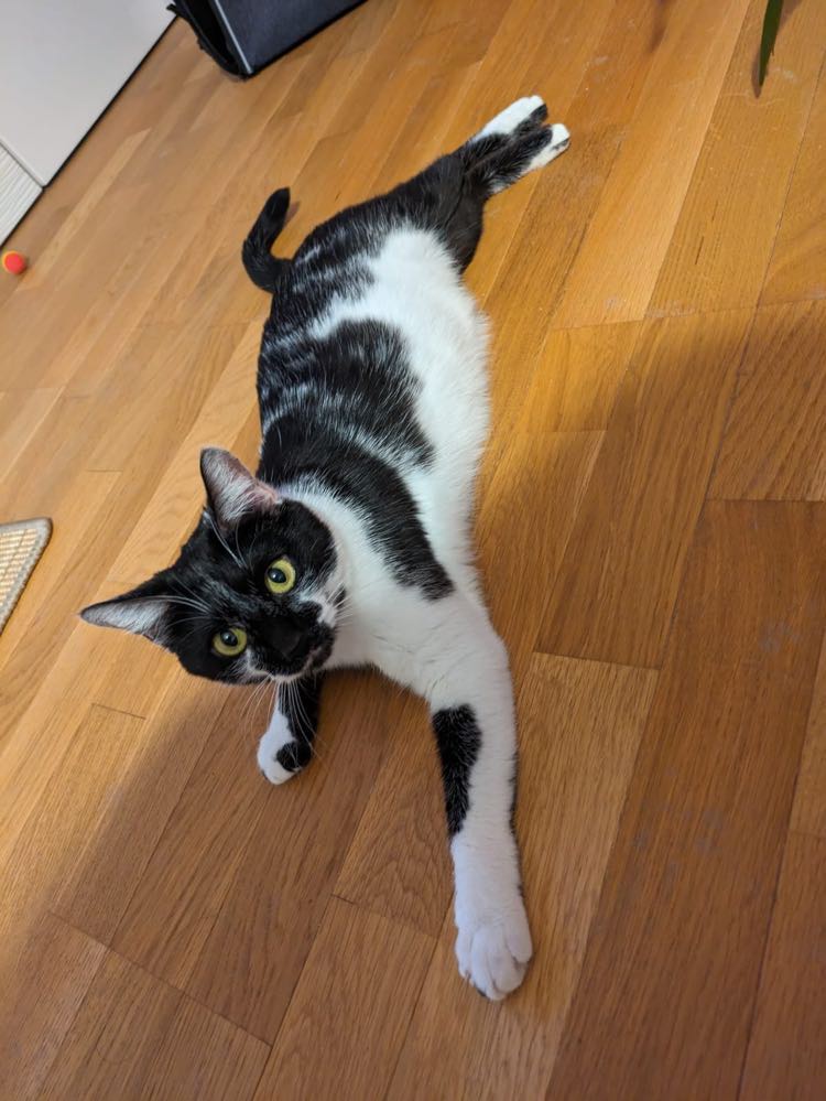 426587675_405144945221053_166806641225837326_n