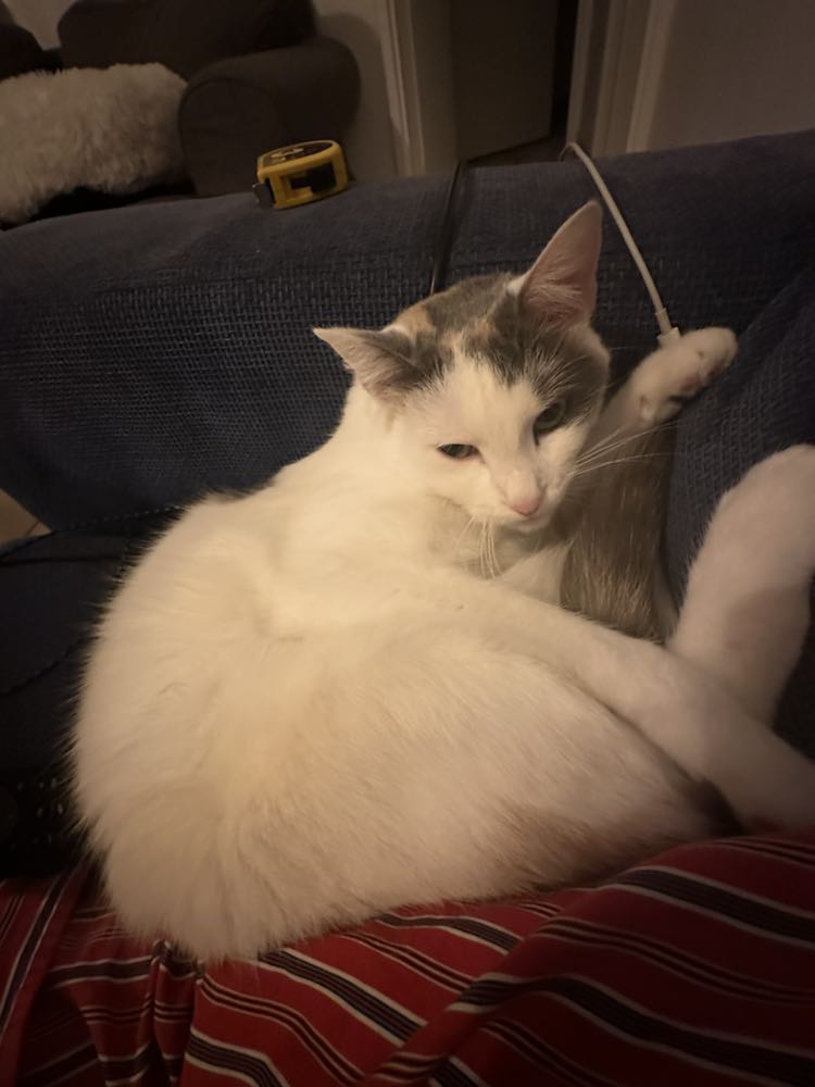 426720583_381285804600190_2780367263380825902_n