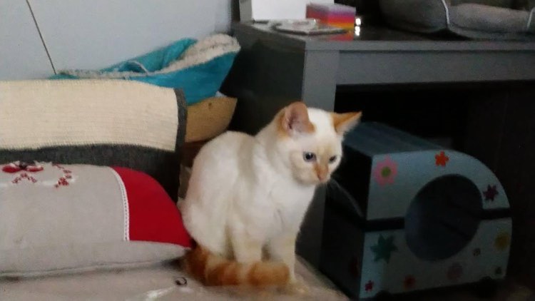 426721532_930905558585589_5040829232790361096_n