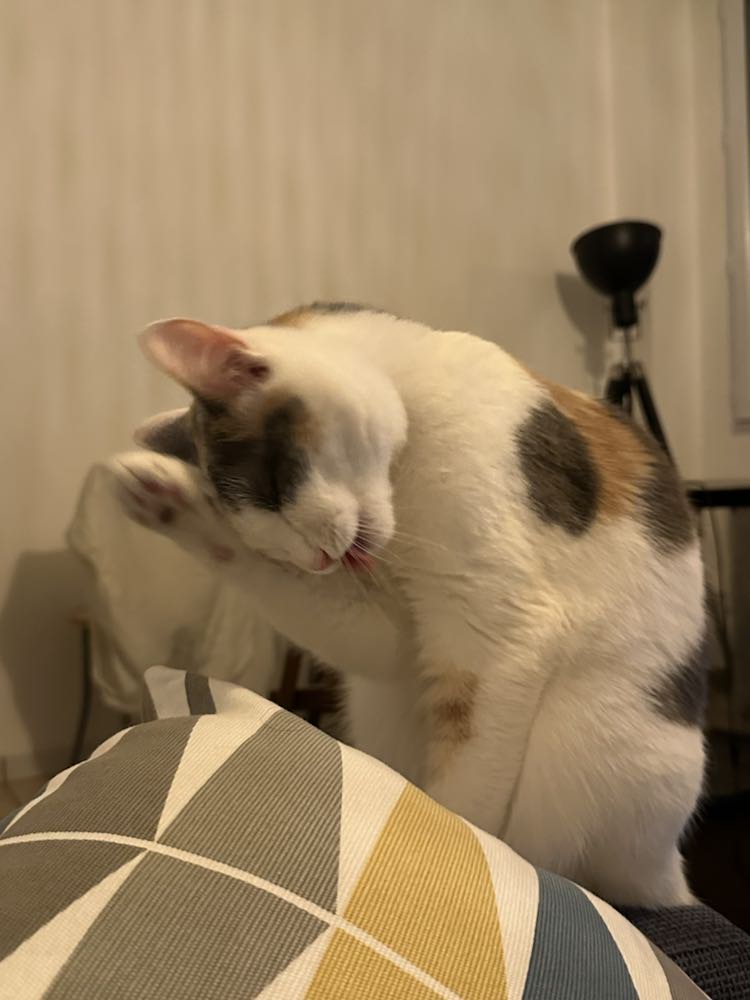 426721539_1099139371282682_8027109097600657051_n