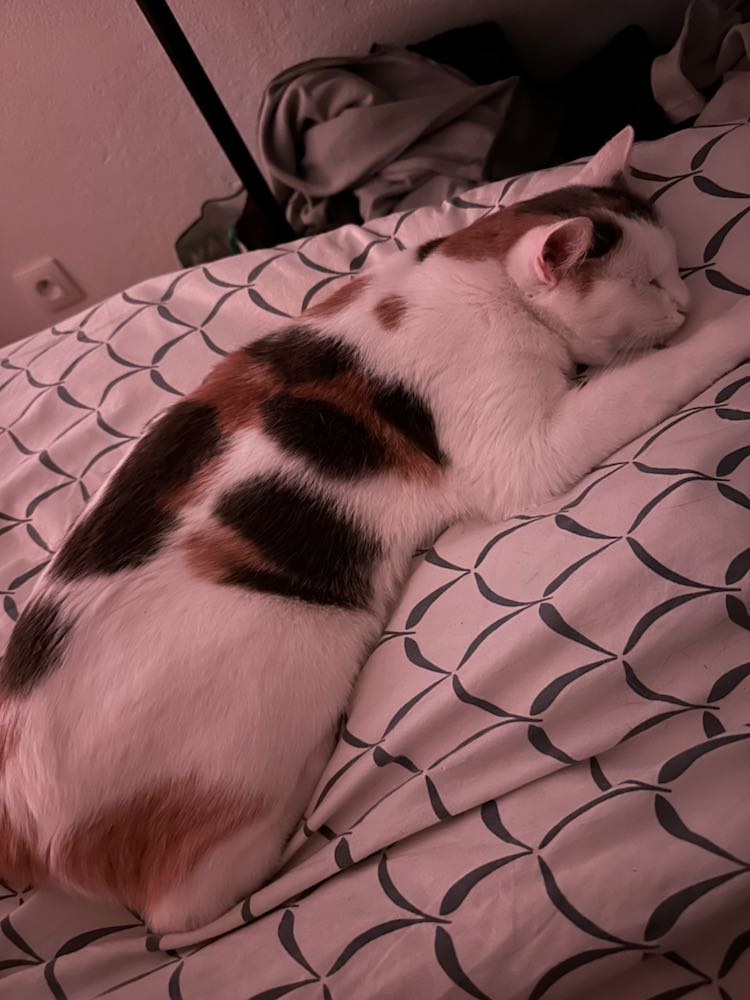 426742570_328838603488316_7491070029355145082_n