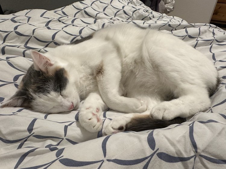 426829735_372491965493056_799378473302158852_n