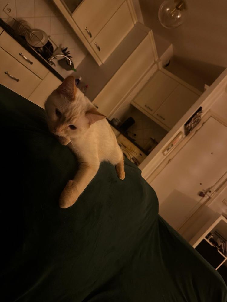 427184446_898069672113185_8926285388633796963_n