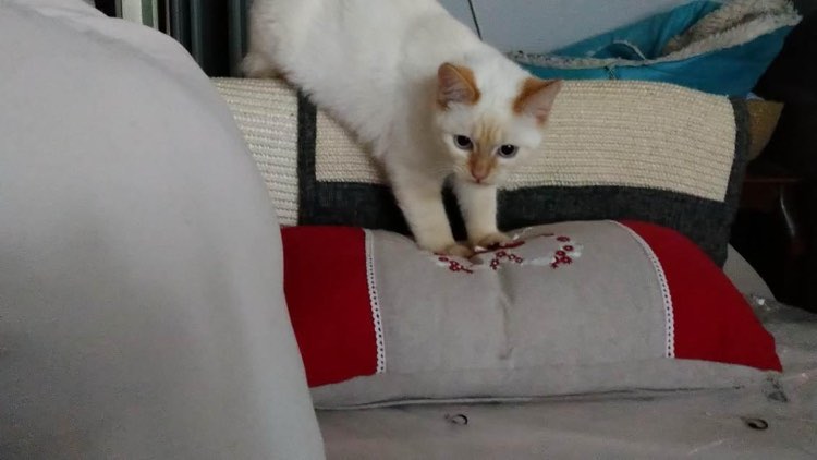 427770547_920603312891601_8757948942134191446_n