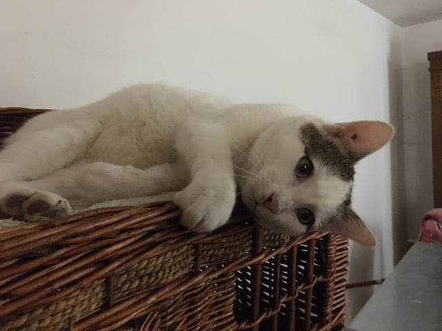 427844626_406765588675337_4816141278100845995_n