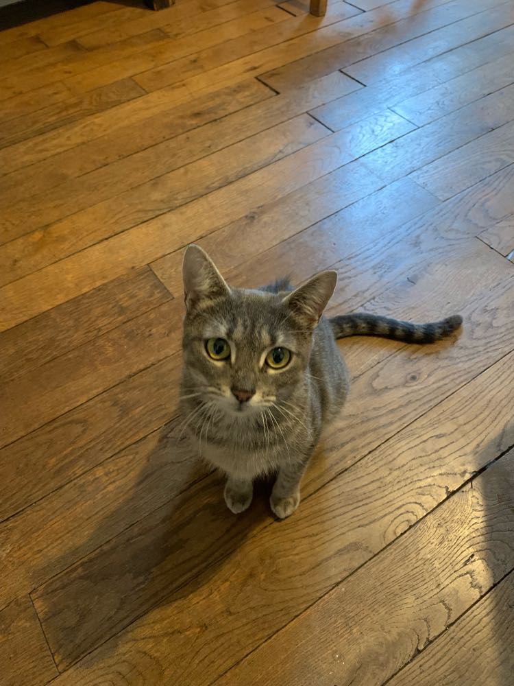 427876764_260116017038002_7790586860603645830_n