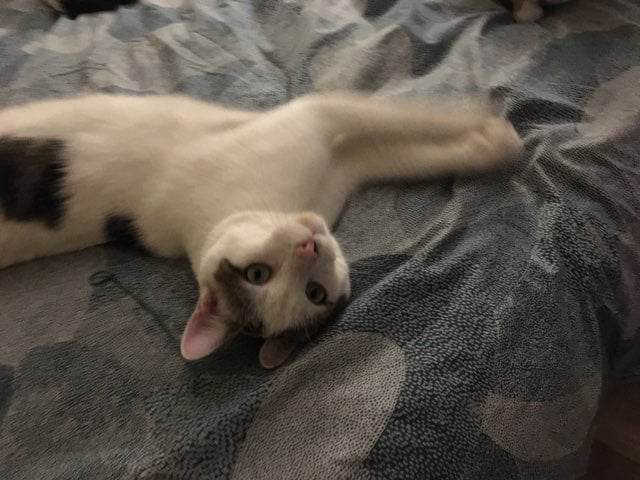 427910717_6713218208782083_5339552383162844924_n