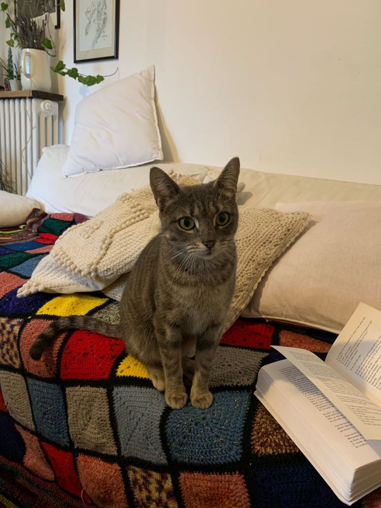 427915509_232124183228762_6162882772500530851_n