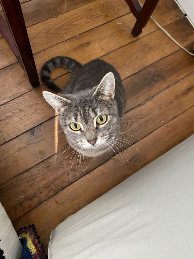 428924745_1058280628581048_2155866494701169753_n