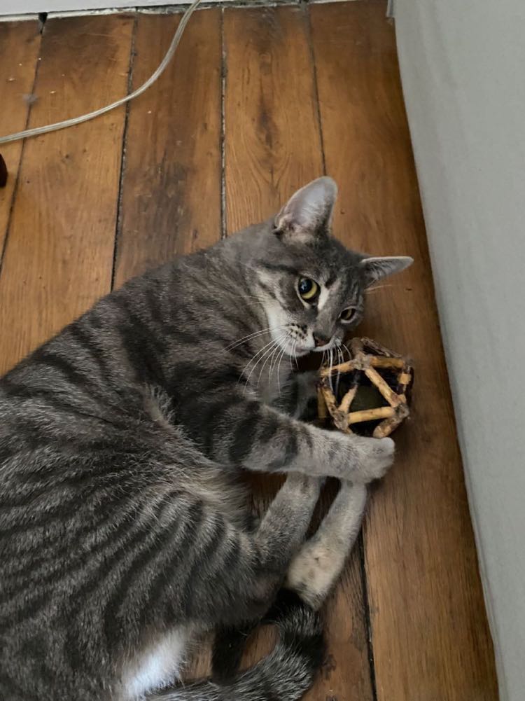 428924748_291231820383569_6003543761260838087_n