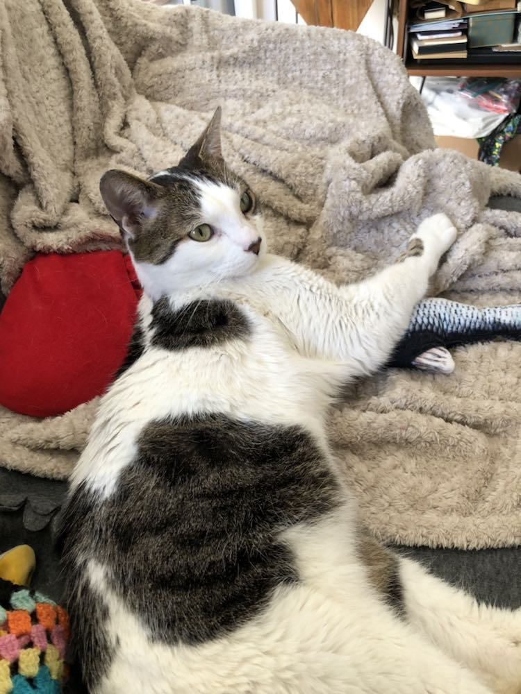 429590146_966108525269208_1554619072783096969_n