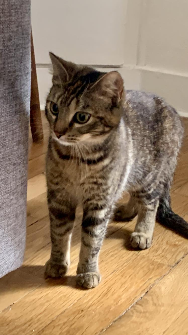 429631970_809403467692963_1586148101071536868_n