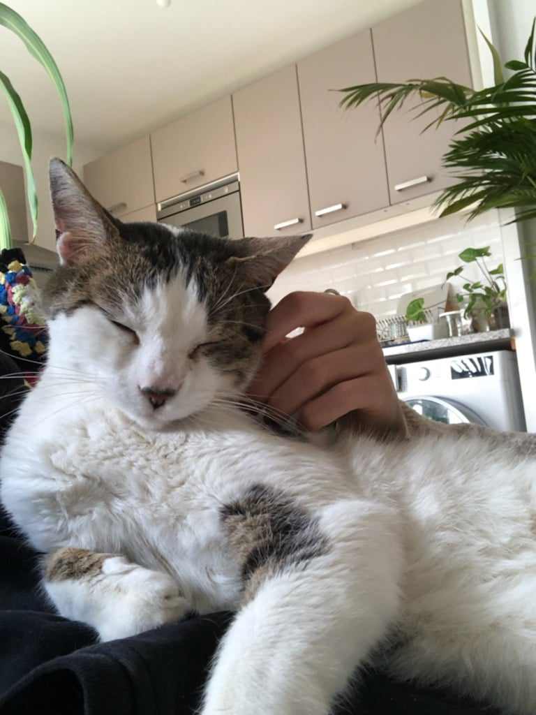 429633240_908956074106558_7194679921849184584_n