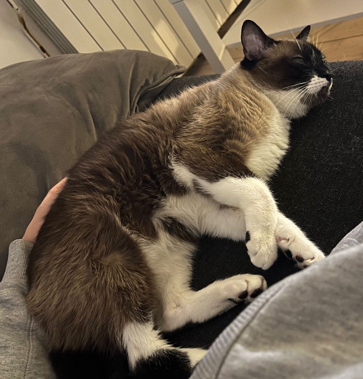 429641119_755411083185071_2475397614544093387_n