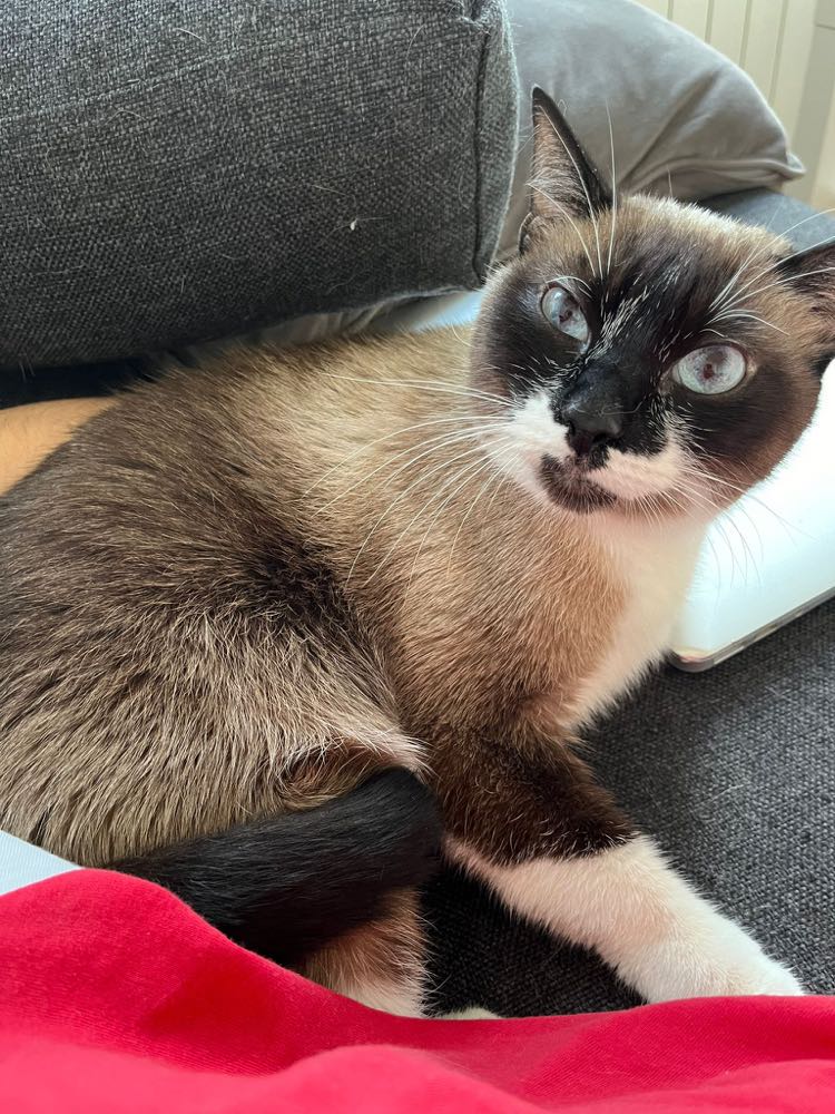 429697846_398123426144840_8469623868853340365_n