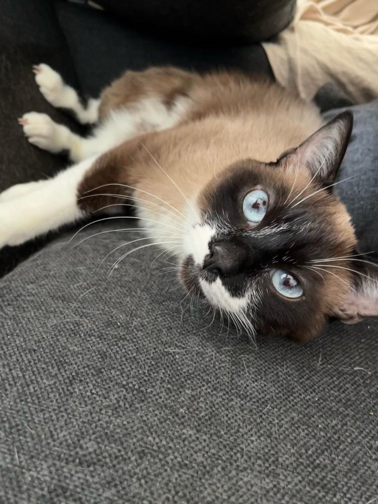 429731868_780697046766713_3644430982383909032_n