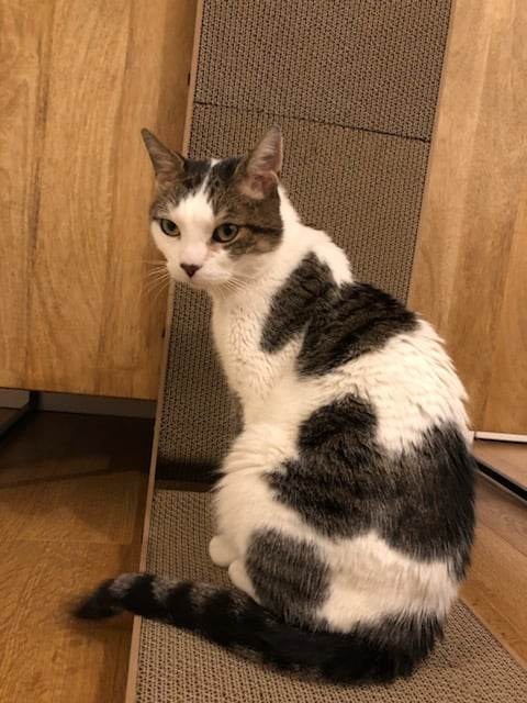 429754007_1420549772187081_981763526784041334_n