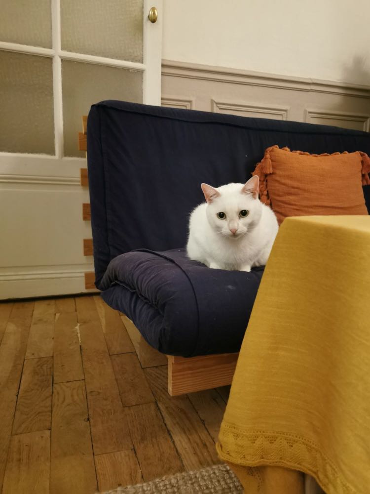 430092263_730214082560654_591161261155113403_n