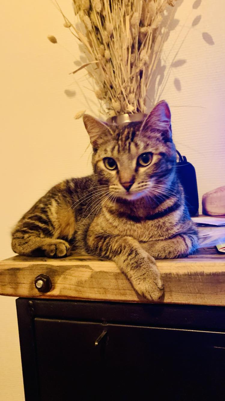 430155444_1130998424583495_6495252492509462115_n