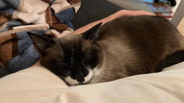 430240730_379491291556503_33674039965252204_n