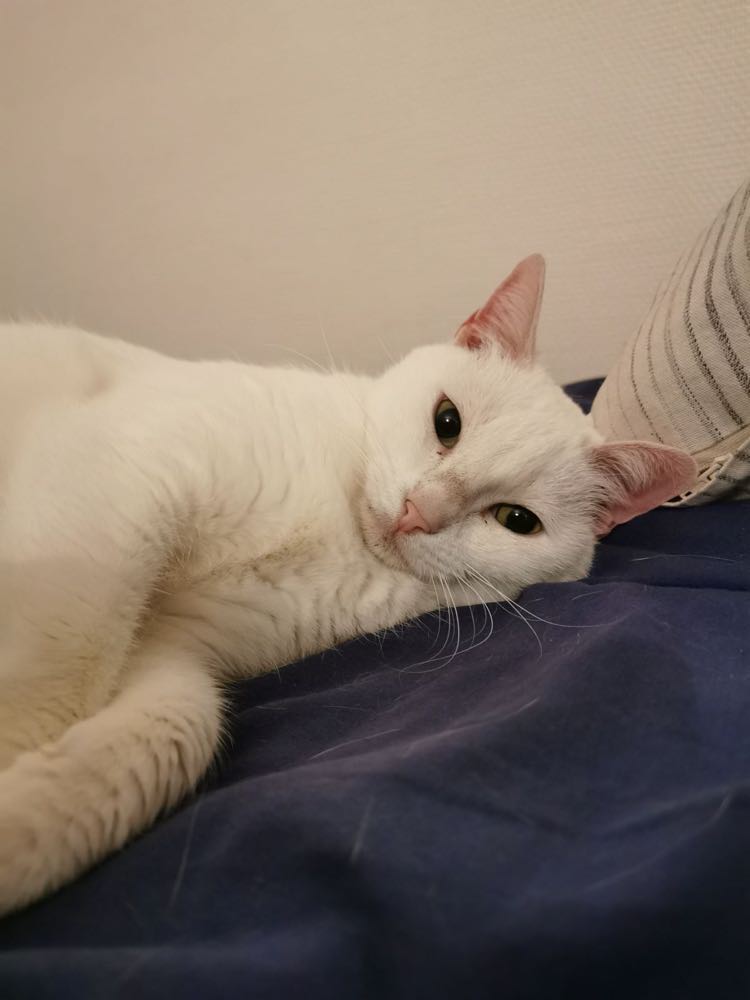 430340216_1090811142185617_6880045180806064599_n