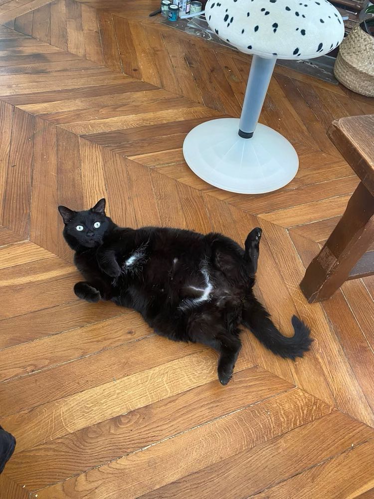 430349253_689111510099450_3758659838536166338_n