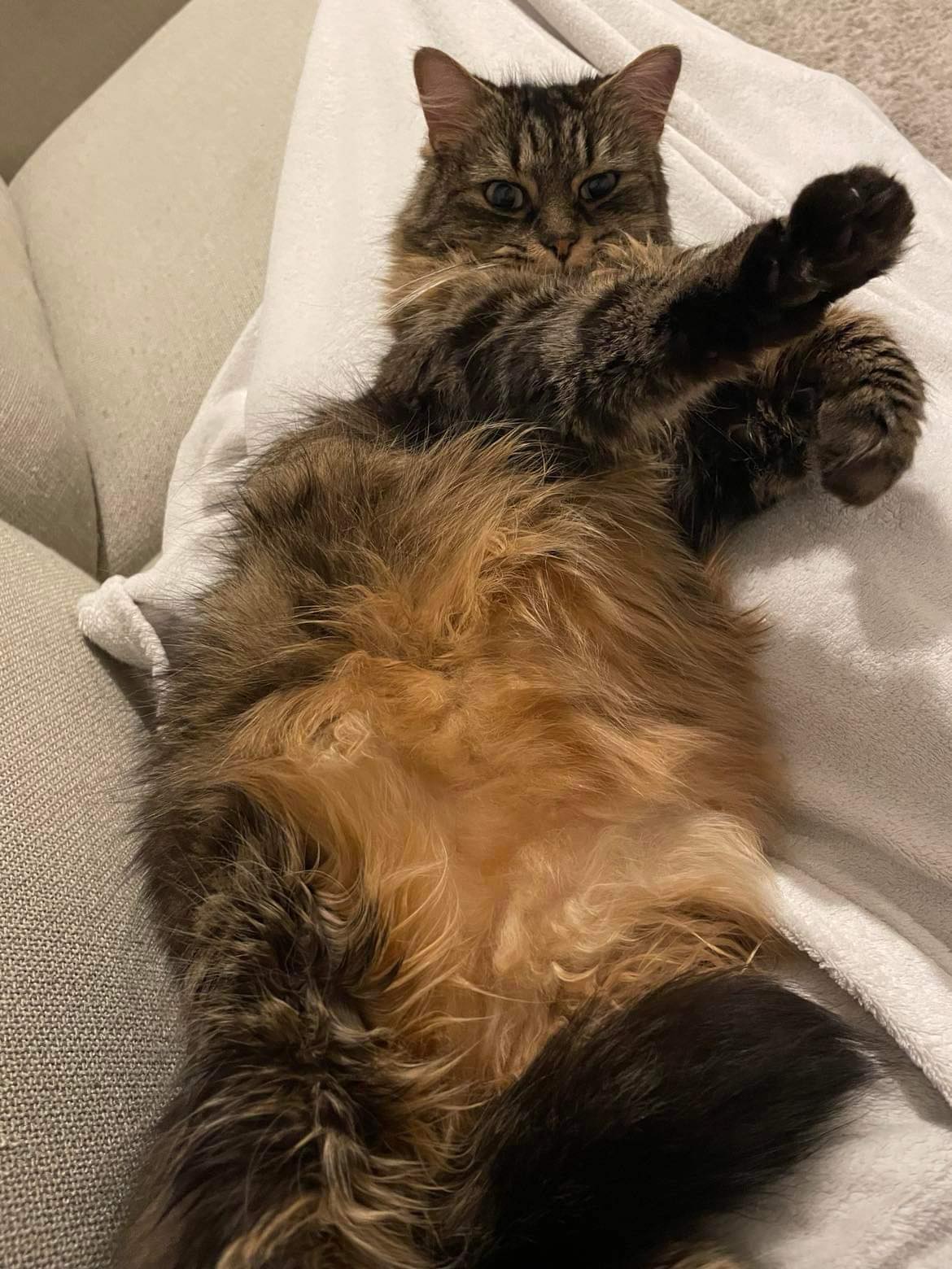 430351530_394000880011055_3898633092548454203_n