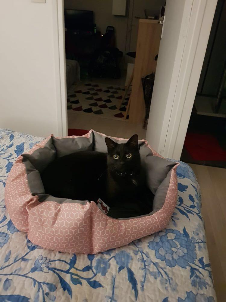 430371374_942914766968751_8193884833527760633_n