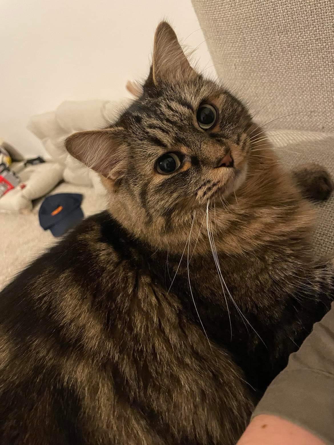 430400611_1106841877126651_1606225652935700730_n