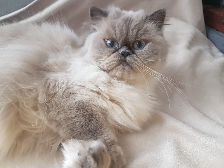 430434059_1445989625998250_4076959526669173228_n