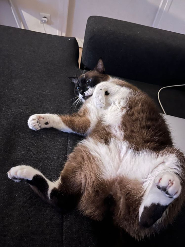 430458715_1469139327003100_4369403409510625997_n