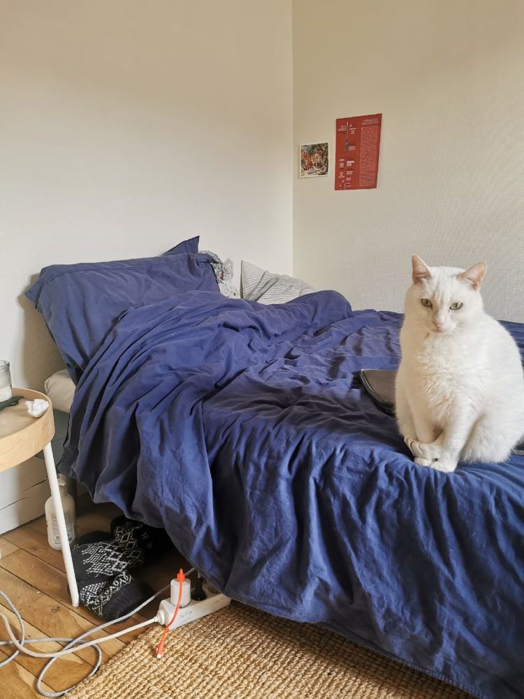 430477725_913354013617087_6520732972374657042_n