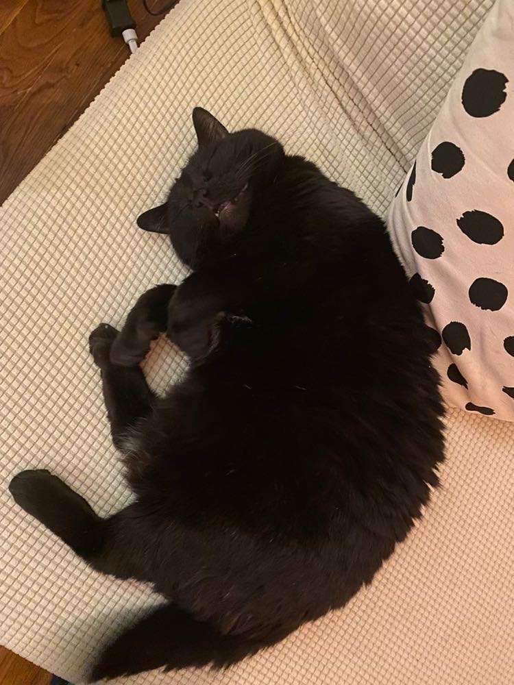 430624650_1054914922242728_6941000906912876177_n