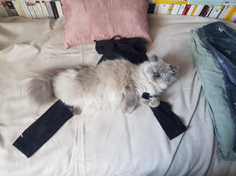 430647335_741477181350313_9115039189062733995_n