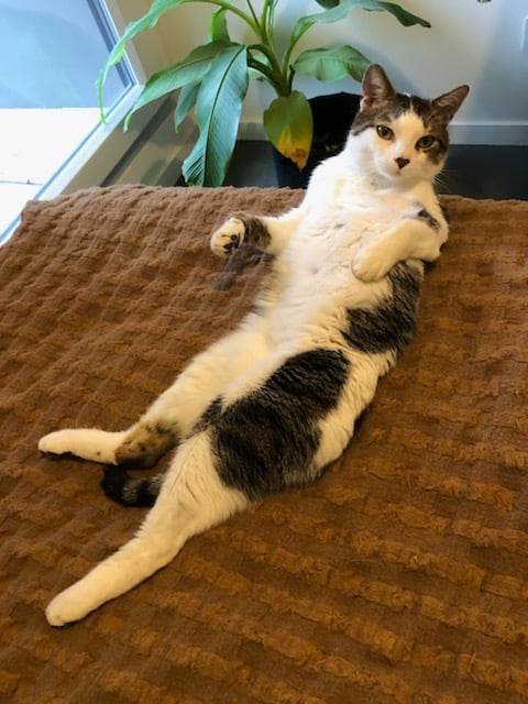 430647336_390690200244161_5571054698179810254_n