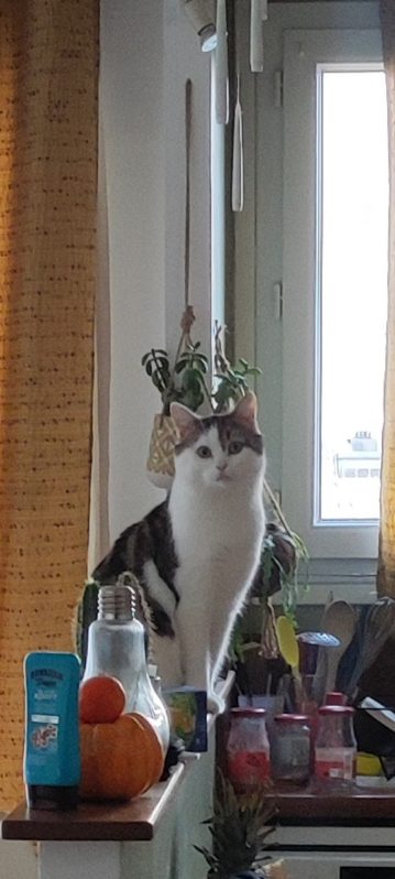 430726955_1342522003101348_5076095374880908594_n