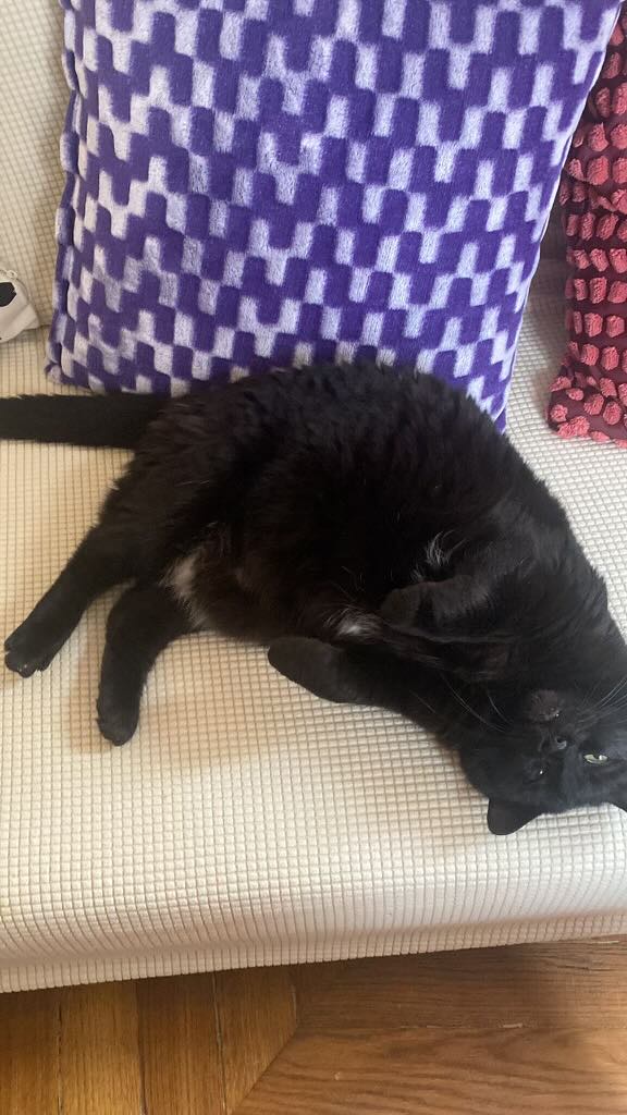 430732004_855050253298993_4342265775589197244_n