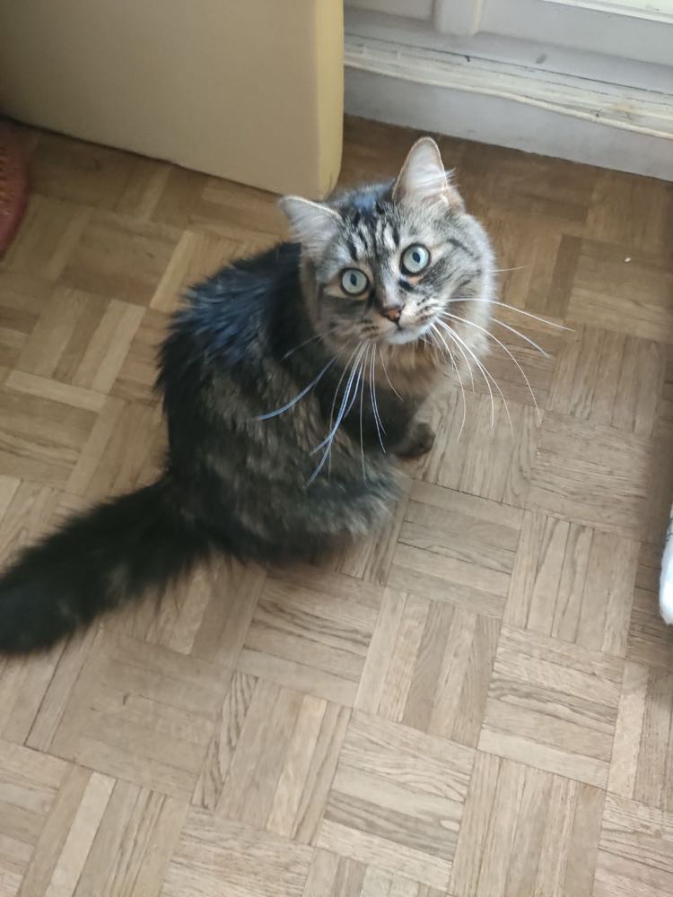 430759707_870951704715808_4788719888979283719_n