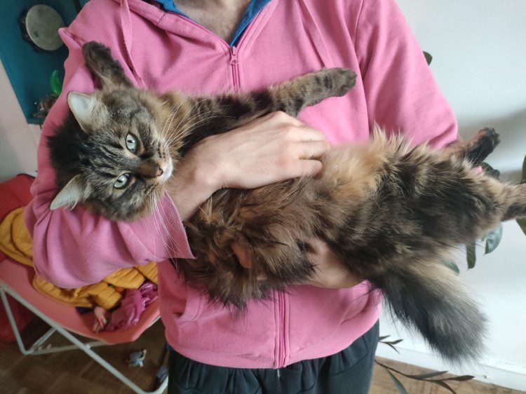 430767087_417502514023233_3498406280746165313_n