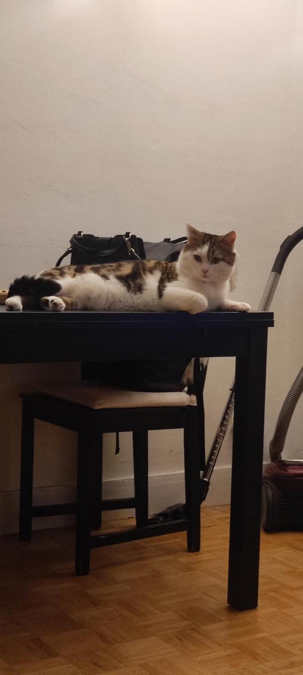 430797148_677943227682158_5278798848152680346_n