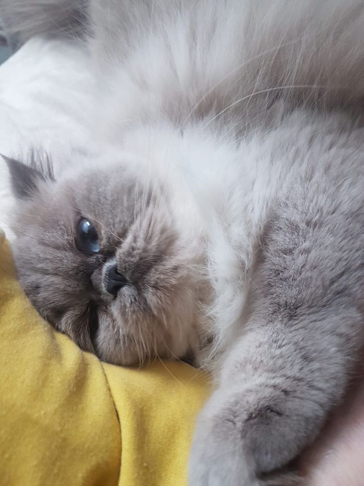 431743920_1129211214790518_5205626044736422156_n