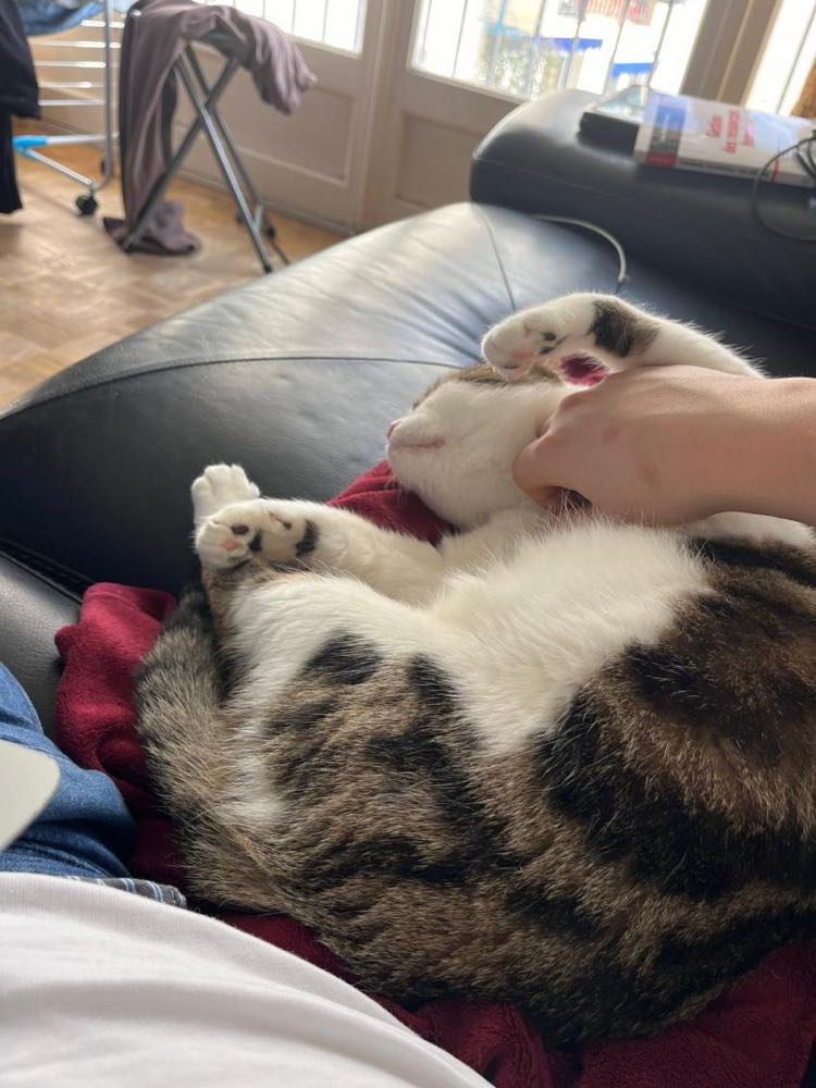 431904583_1139216964172850_2468555084283663580_n