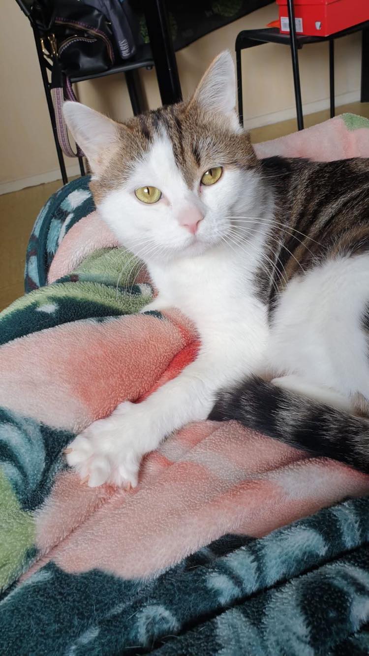 432042183_957992262607974_7264146929247094103_n