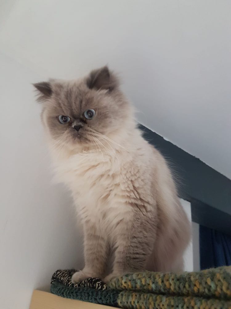 432166433_1052135849222968_803226819500169484_n