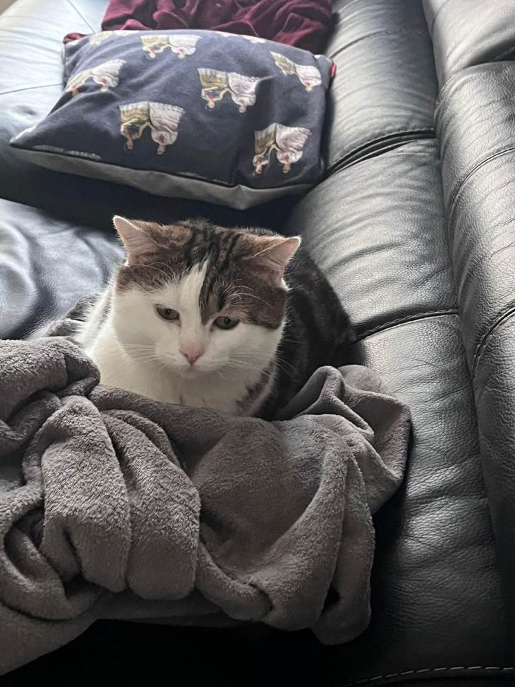 432197231_3773269916238358_1143613044041790260_n