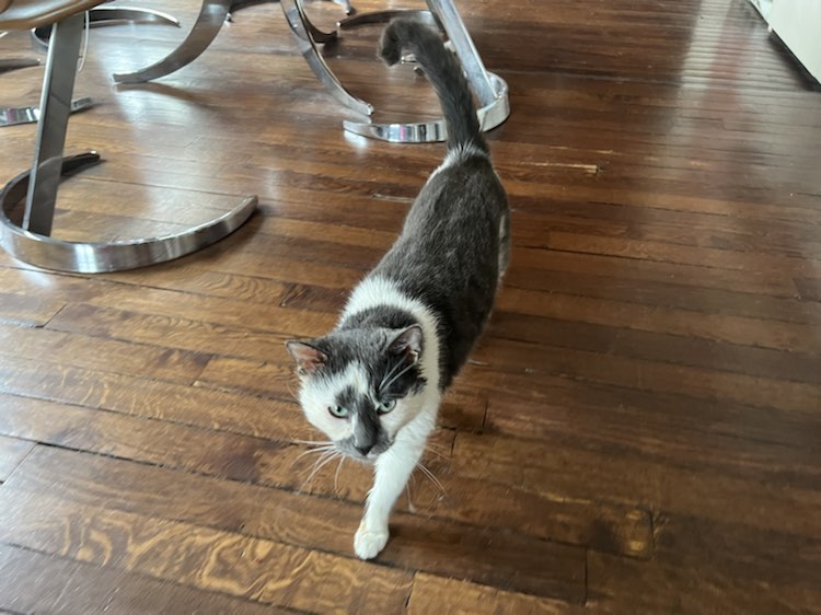 432314221_1256258115760570_5189270144091223791_n