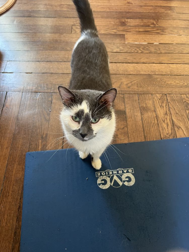 432354492_1074546836967628_2590979668120679648_n